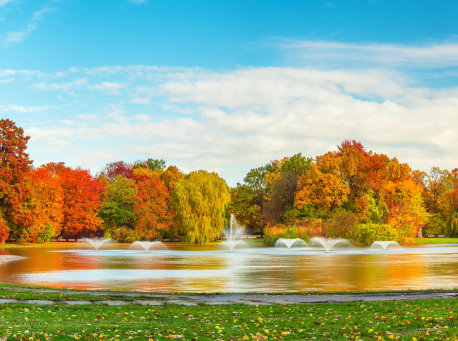 Fall Fountains