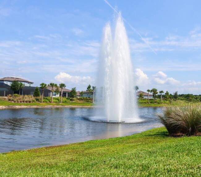 Florida Fountain