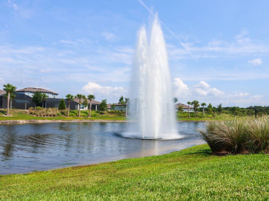 Florida Fountain