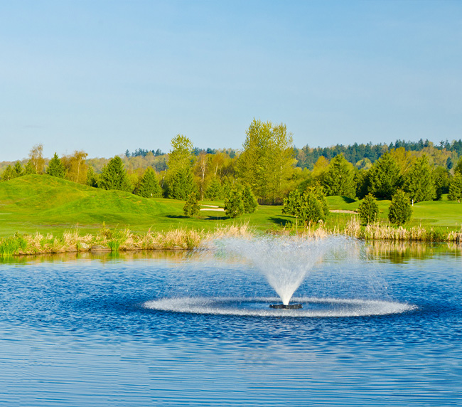 Fountain in Lake